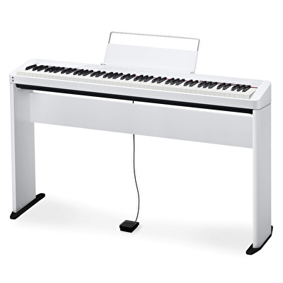 Casio store privia 88